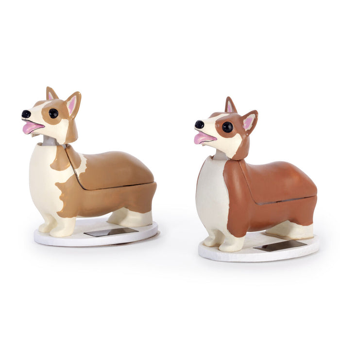 Elroy The Royal Solar Corgi