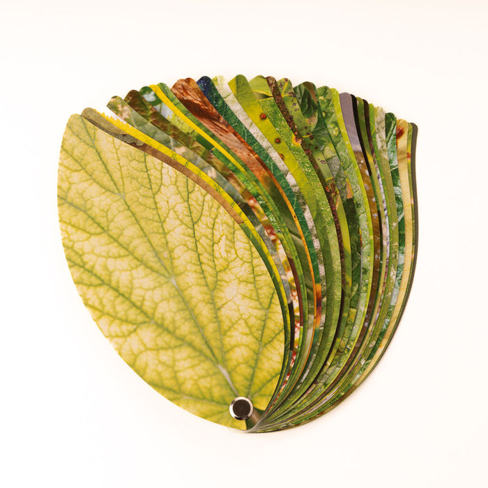 Plant Health Handbook