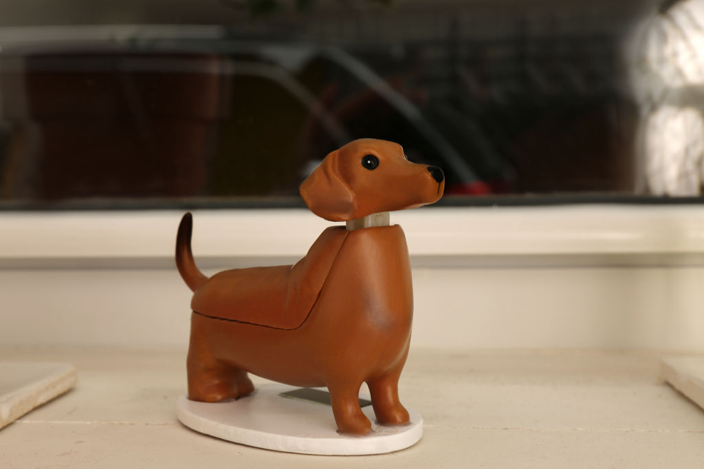 Solar Dachshund - Boudewijn