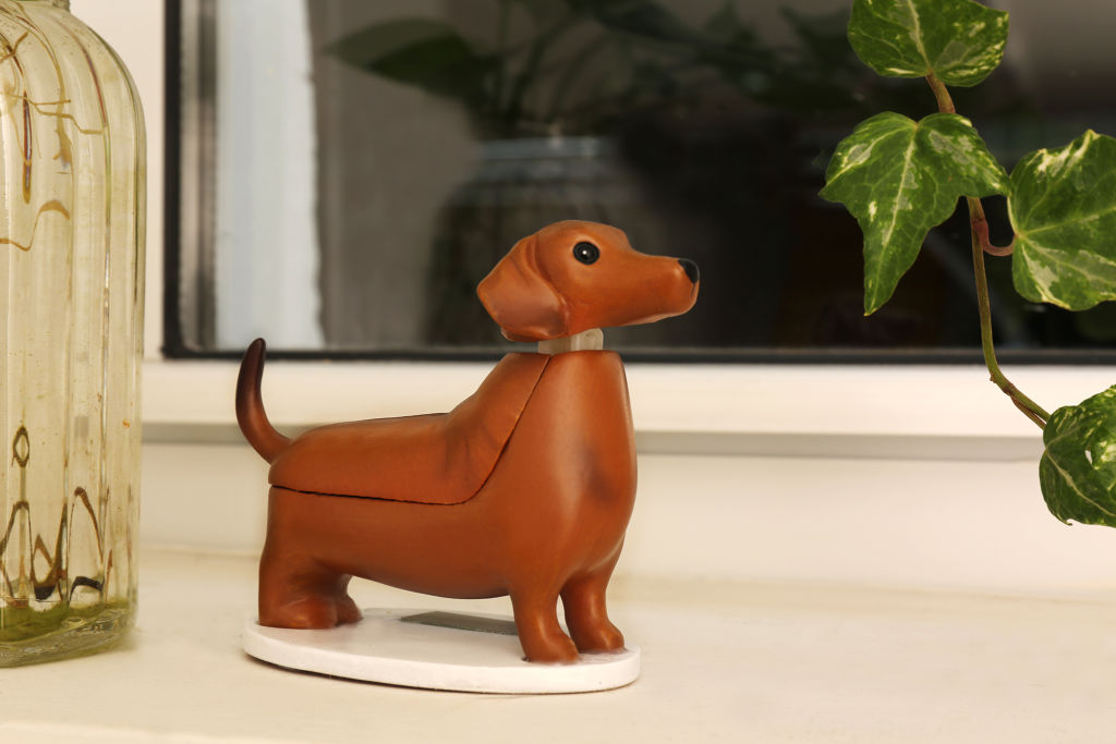 Solar Dachshund - Boudewijn