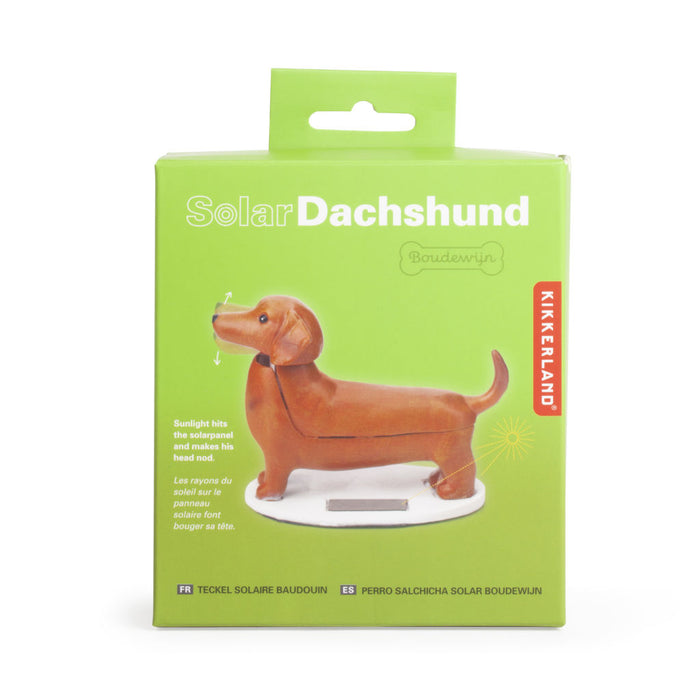 Solar Dachshund - Boudewijn