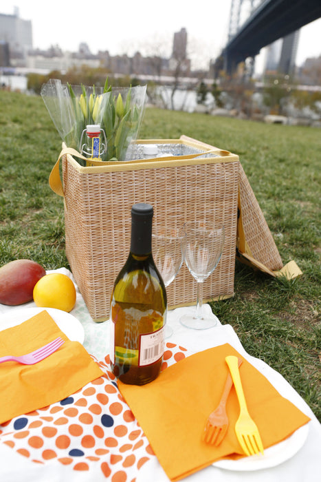 Wicker Picnic Cooler Seat