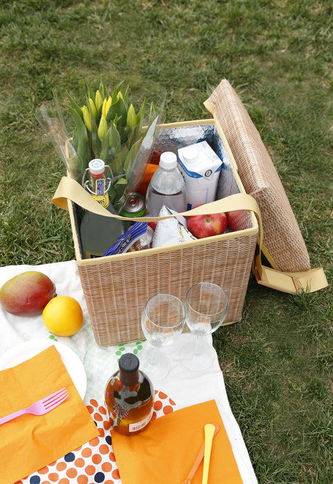 Wicker Picnic Cooler Seat