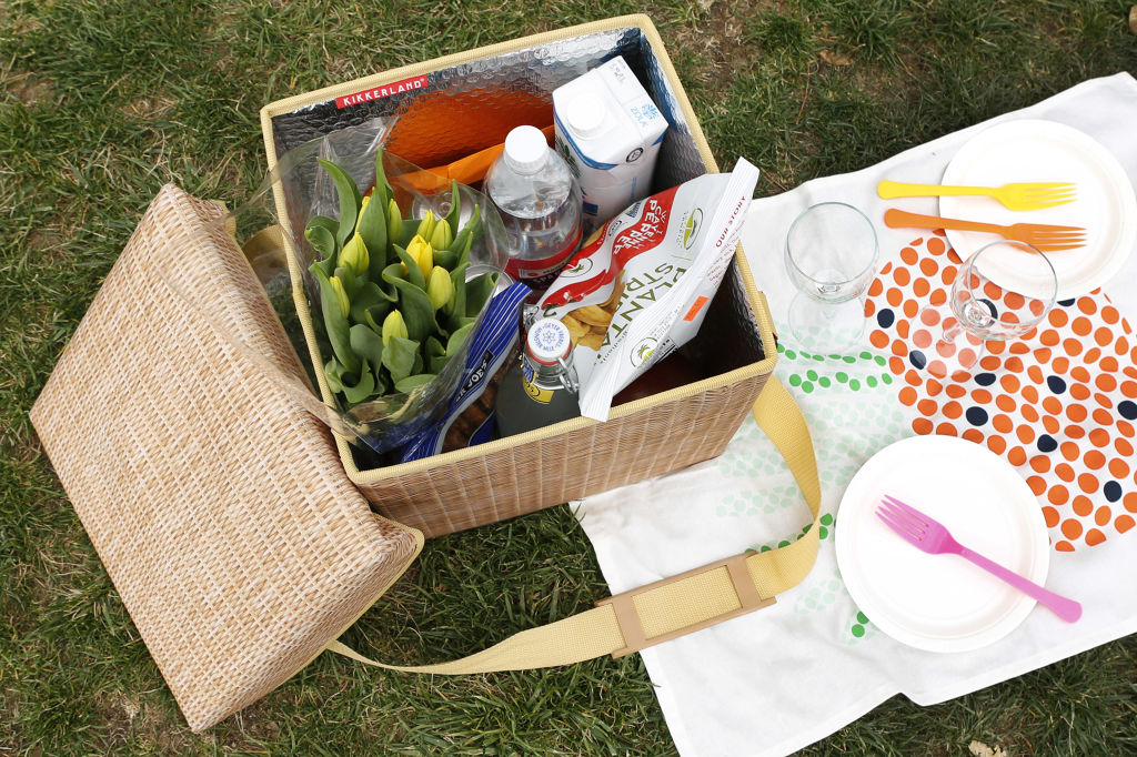 Wicker Picnic Cooler Seat