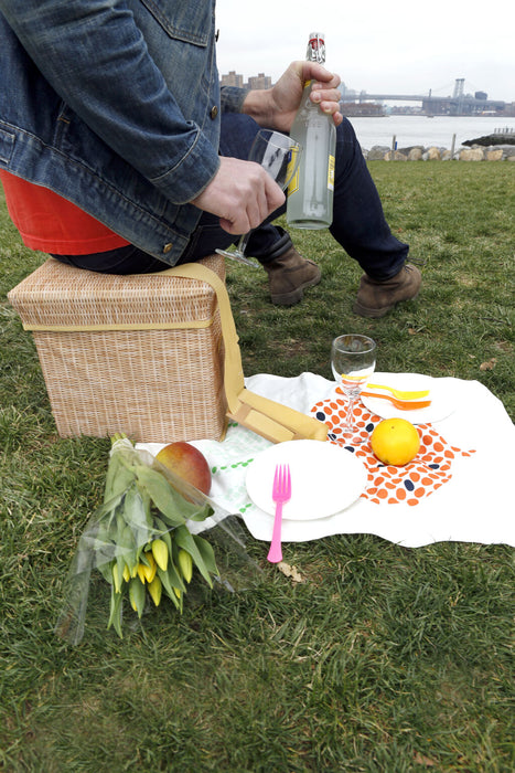 Wicker Picnic Cooler Seat