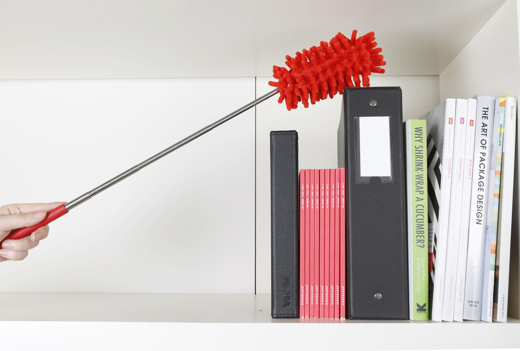 Extendable Duster Assorted