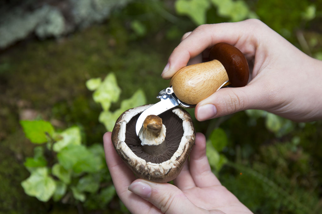 Mushroom Tool Keychain