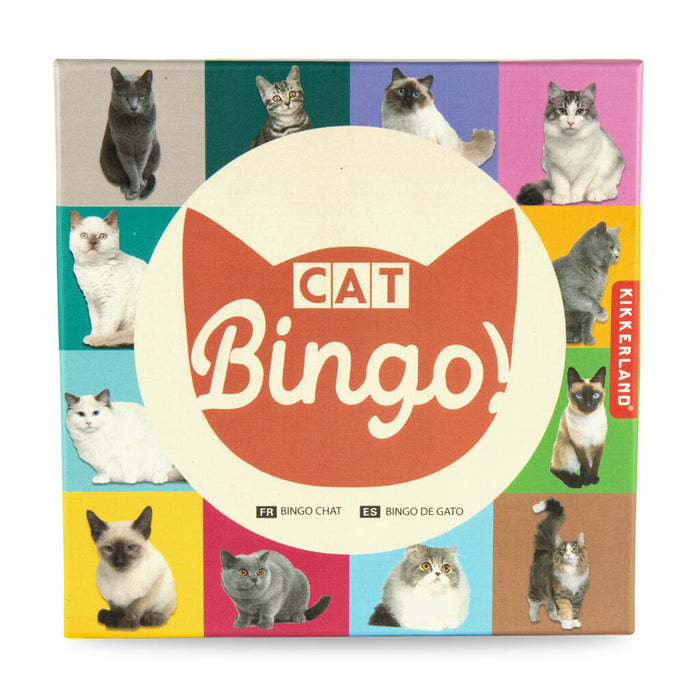 Cat Bingo