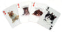 Playing Cards Cats 3D