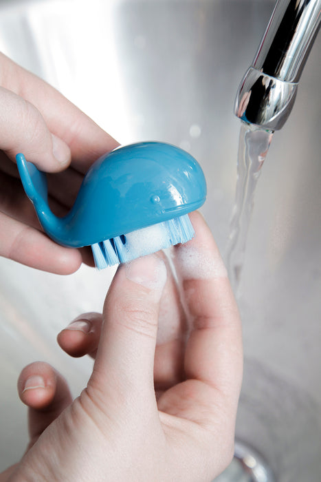 Whale Nail Brush Assorted