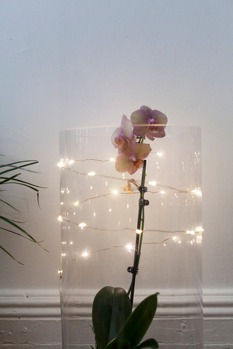 Copper String Battery Lights