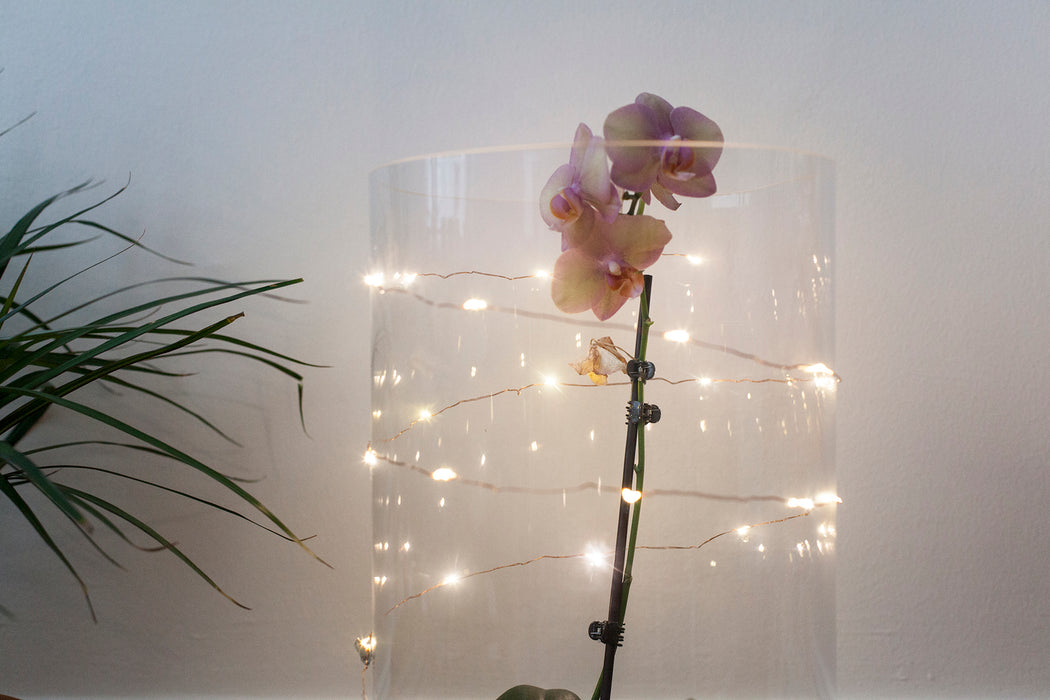 Copper String Battery Lights