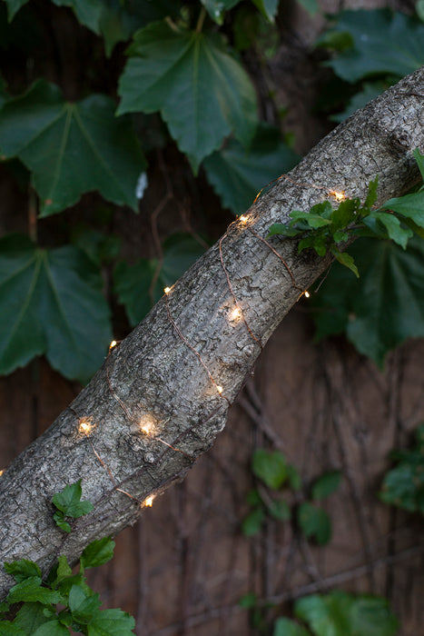Copper String Battery Lights