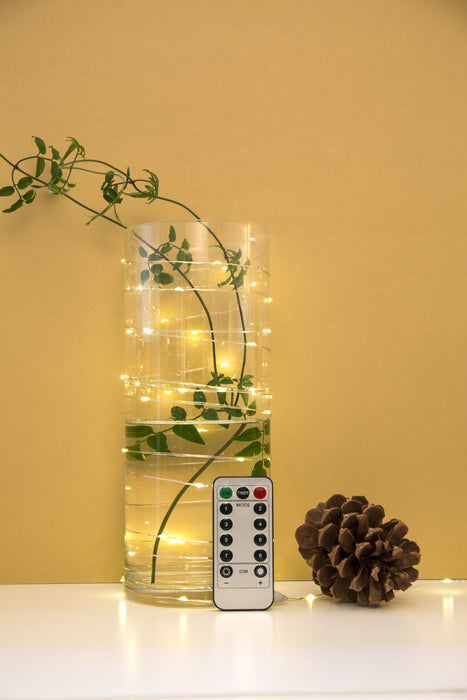 EXTRA LONG SILVER STRING LIGHTS