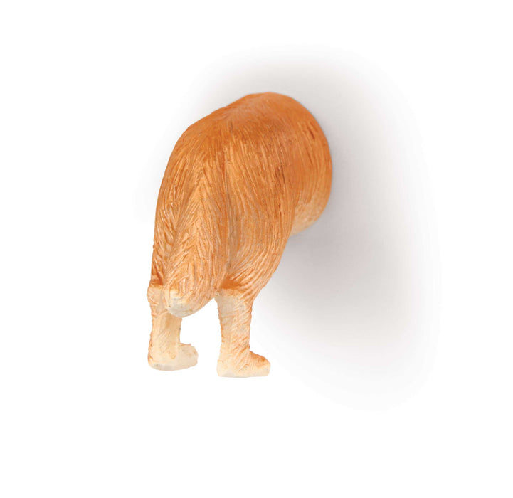 Dog Butt Magnets 6 Per Set