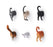 Cat Butt Magnets Set Of 6