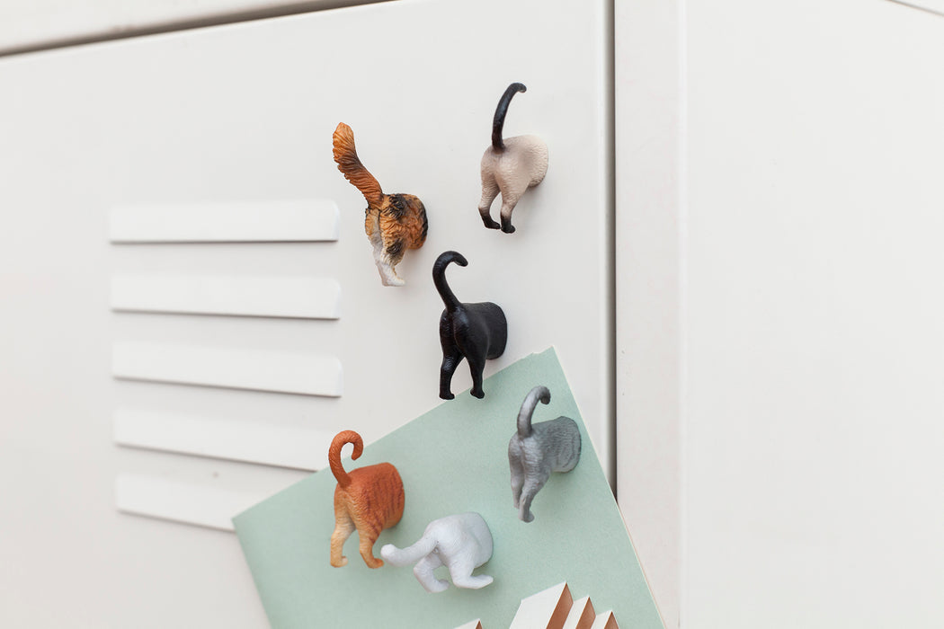 Cat Butt Magnets Set Of 6