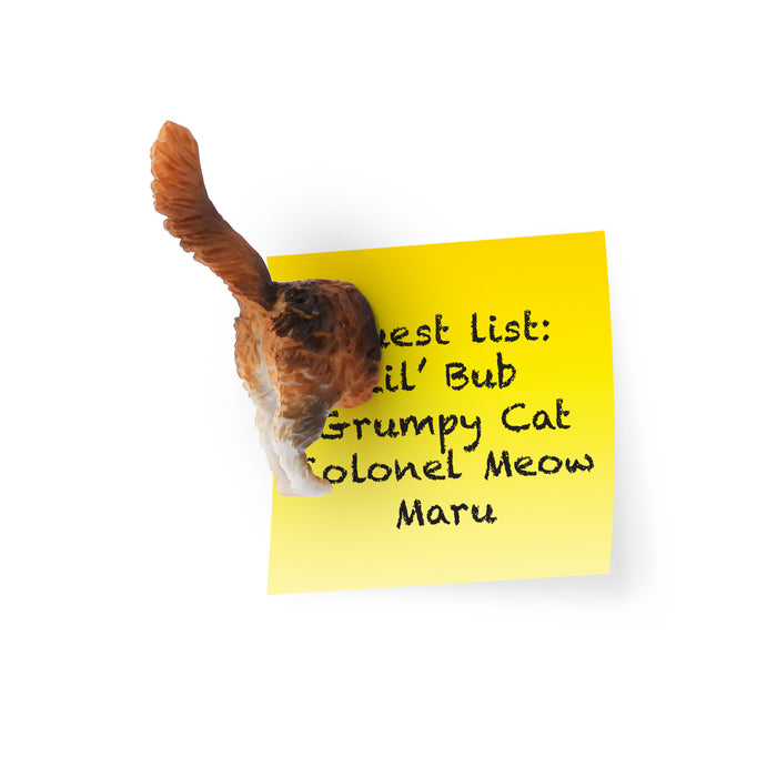 Cat Butt Magnets Set Of 6