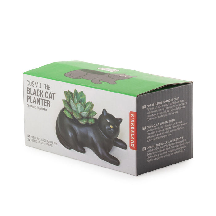Cosmo The Black Cat Planter