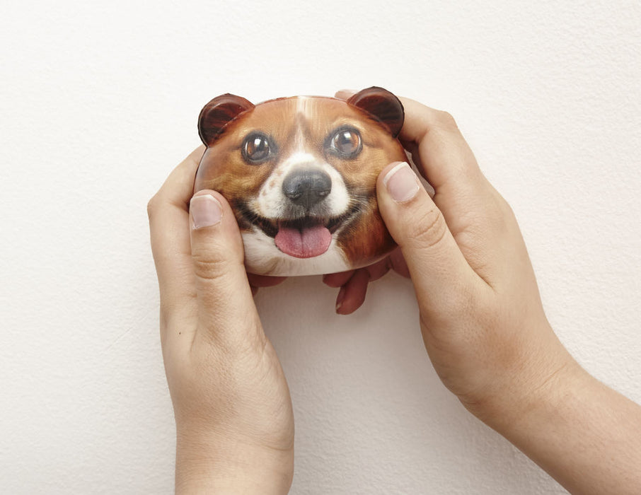 Dog Stress Balls