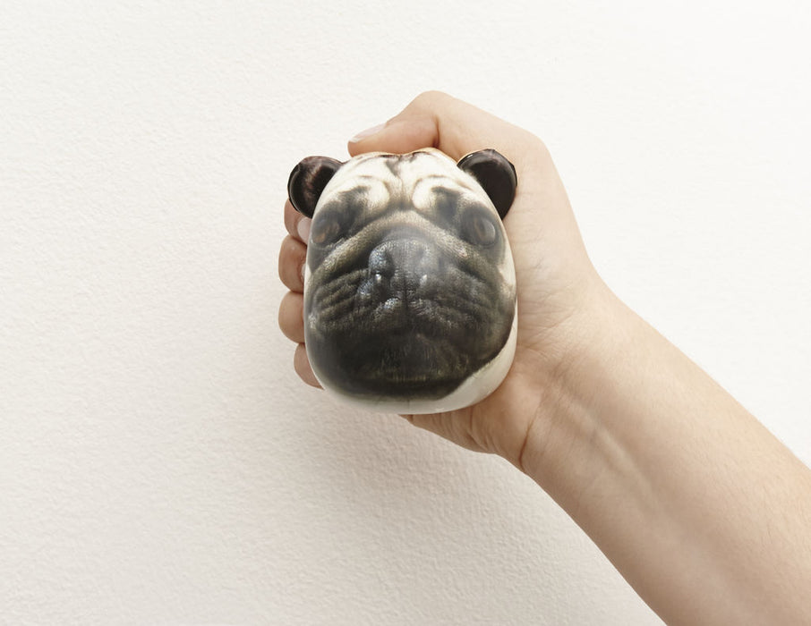 Dog Stress Balls