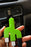 Cactus Car Charger
