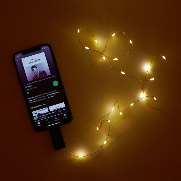 Sound Activated String Light